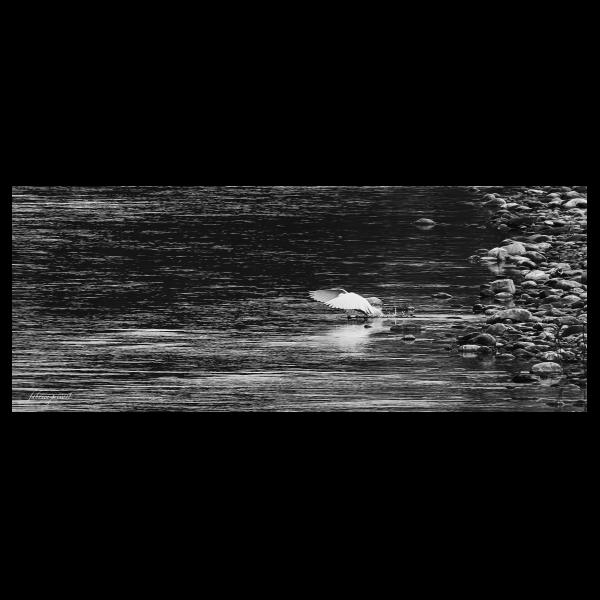 PHOTO84, CLUB, 84 , LUBERON